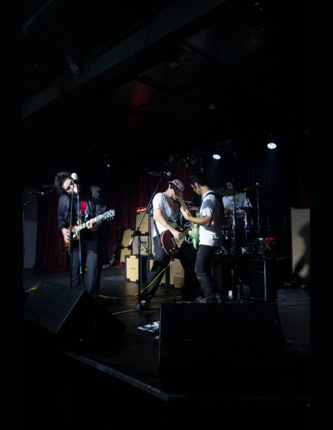 Punk rock band, Dogs Are Cool