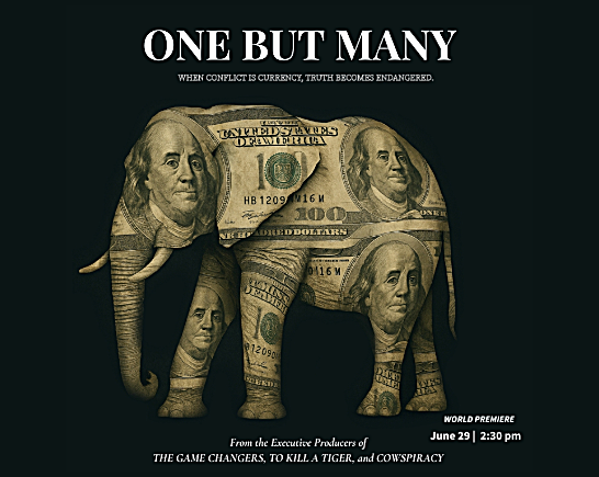 An African elephant papered with US $100 bills