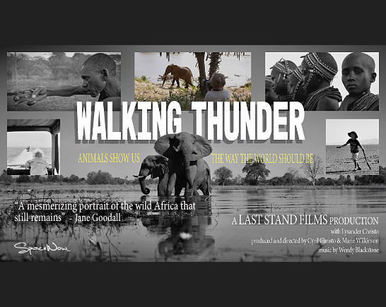 Elephants walking across a river with images of East Africans and elephants in the background