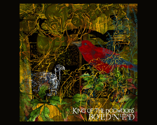a red bird sits in golden trees