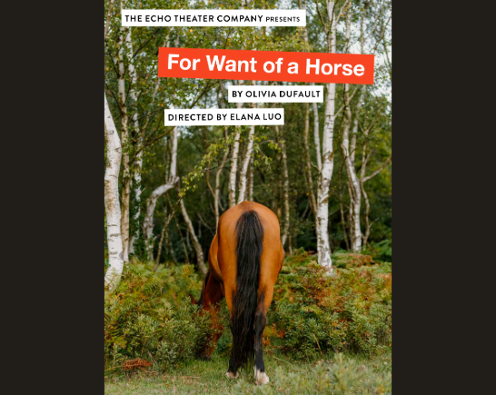The rear end of a brown horse with a black tail grazes at the edge of a forest of birch trees