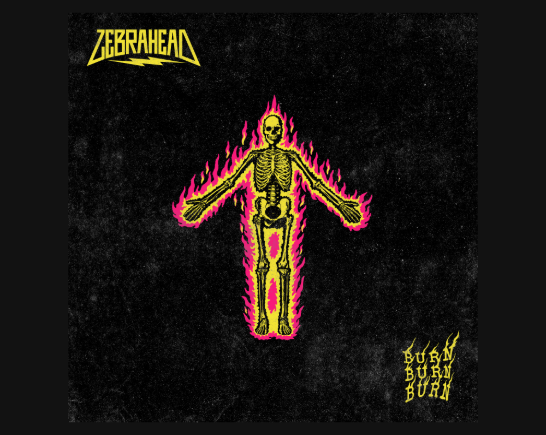 a burning man - zebrahead
