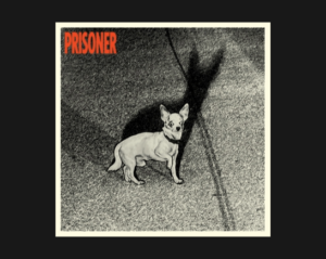 A black and white image of a white chihuahua staring straight ahead casting a long shado