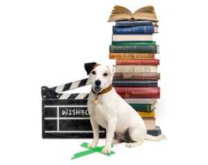Jack Russell terrier, Wishbone, sits in front of a stack of books with a film slate next to him. A green tape X marks his spot on the white floor