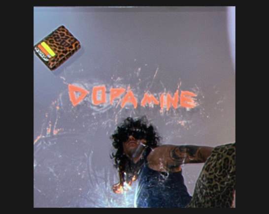 A young man with long dark hair wears leopard print pants. He looks down with the sky behind him with what appears to be a leopard print hard drive flying through the air.